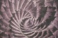 FotoTAPETA na flizelinie MS-5-0352 Abstrakcyjny kaktus 375 x 250 cm