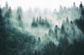 4d8613f114a423caad02c103de65ce13