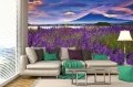 44d57aaa852d44db1f4e4b2e7b4589ca