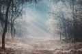 2b9ab8210acfdb686ee2212da51ab02c