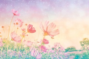 Fototapeta na flizelinie MS-5-2001 Vintage pastelowe kwiaty 375 x 250 cm
