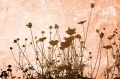 37ac4fc00dcdbff29753051d4a11de63
