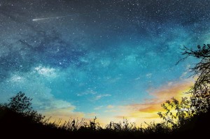 Fototapeta na flizelinie MS-5-2288 Nocne niebo 375 x 250 cm