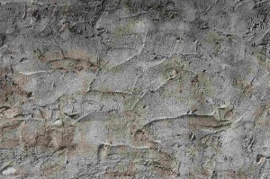 Fototapeta na flizelinie MS-5-2426 Paca betonowa 375 x 250 cm