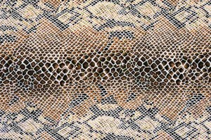 Fototapeta na flizelinie MS-5-2584 faktura węża 375 x 250 cm