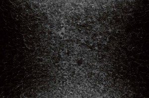Fototapeta na flizelinie MS-5-2614 Czarny detal faktury 375 x 250 cm