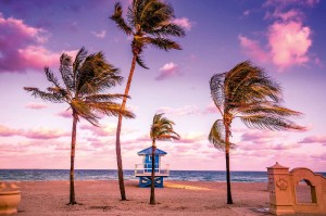 Fototapeta na flizelinie MS-5-3039 Hollywood Beach 375 x 250 cm