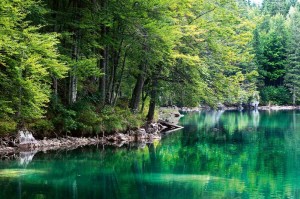 Fototapeta na flizelinie MS-5-3063 Jezioro i las 375 x 250 cm