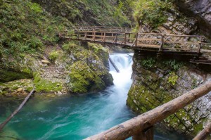 Fototapeta na flizelinie MS-5-3096 Vintgar Gorge 375 x 250 cm