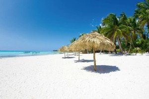Fototapeta na flizelinie MS-5-3218 Plaża z palmami 375 x 250 cm
