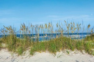 Fototapeta na flizelinie MS-5-3220 Trawa na plaży 375 x 250 cm
