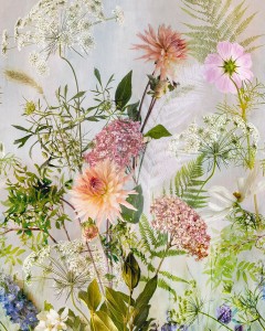 MURAL ML2001 YOUNG EDITION