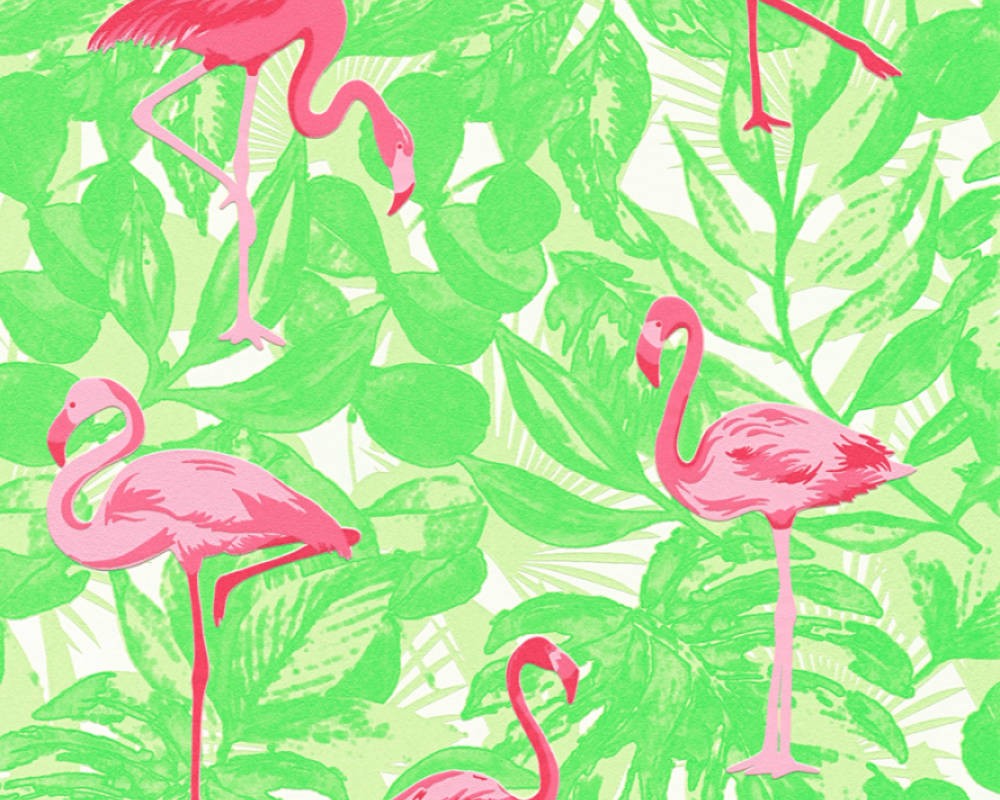 TAPETA 35980-2 CLUB TROPICANA/BOYS AND GIRLS 6
