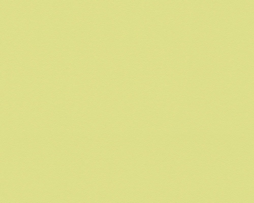 TAPETA 3095-56 GLATTE WAND