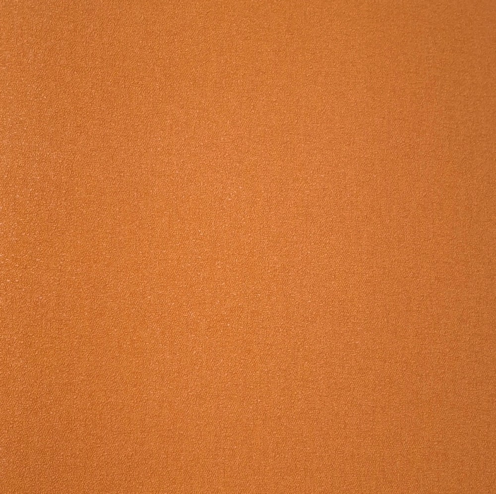 20250829_181208.jpg