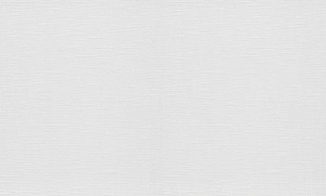 TAPETA 11030-01 RollOver27