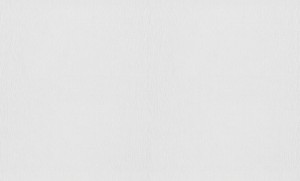 TAPETA 11031-01 RollOver27