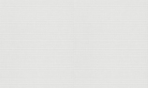 TAPETA 11037-01 RollOver27