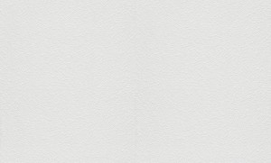 TAPETA 11039-01 RollOver27