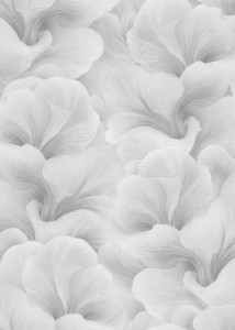 TAPETA 10527-31 Fashion for walls 5 by Guido Maria Kretschmer