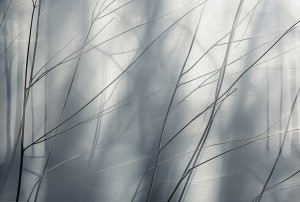 Mural fototapeta 22088-07-01 Art. Edition 2