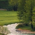 8-133-Morning-Walk_eciRGB_XL_A2.jpg