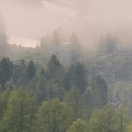 8-133-Morning-Walk_eciRGB_XL_A4.jpg