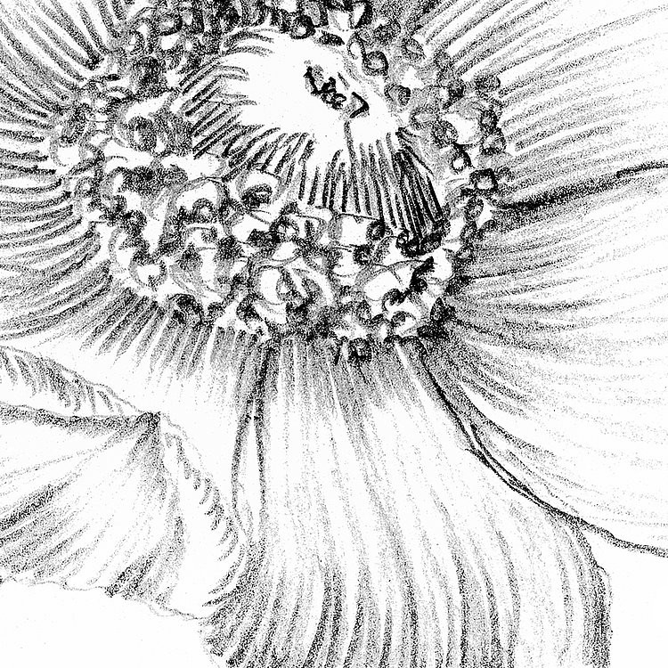 csm_XXL2-1035_Embroidery_A5_dcbfe90b8f.jpg