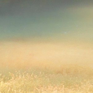 FotoTAPETA 8-134 Meadow Trail