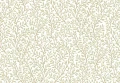 8365.jpg