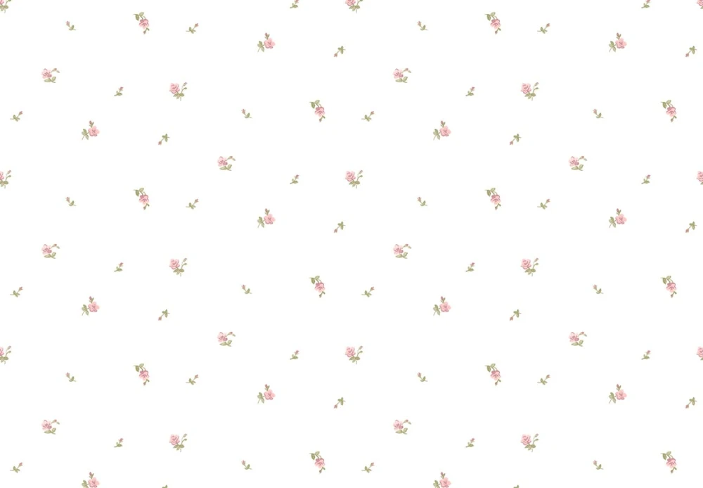 8374.jpg