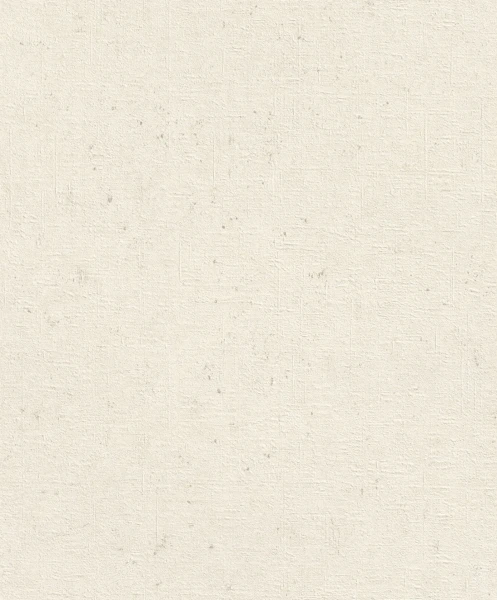 TAPETA 520729 CONCRETE