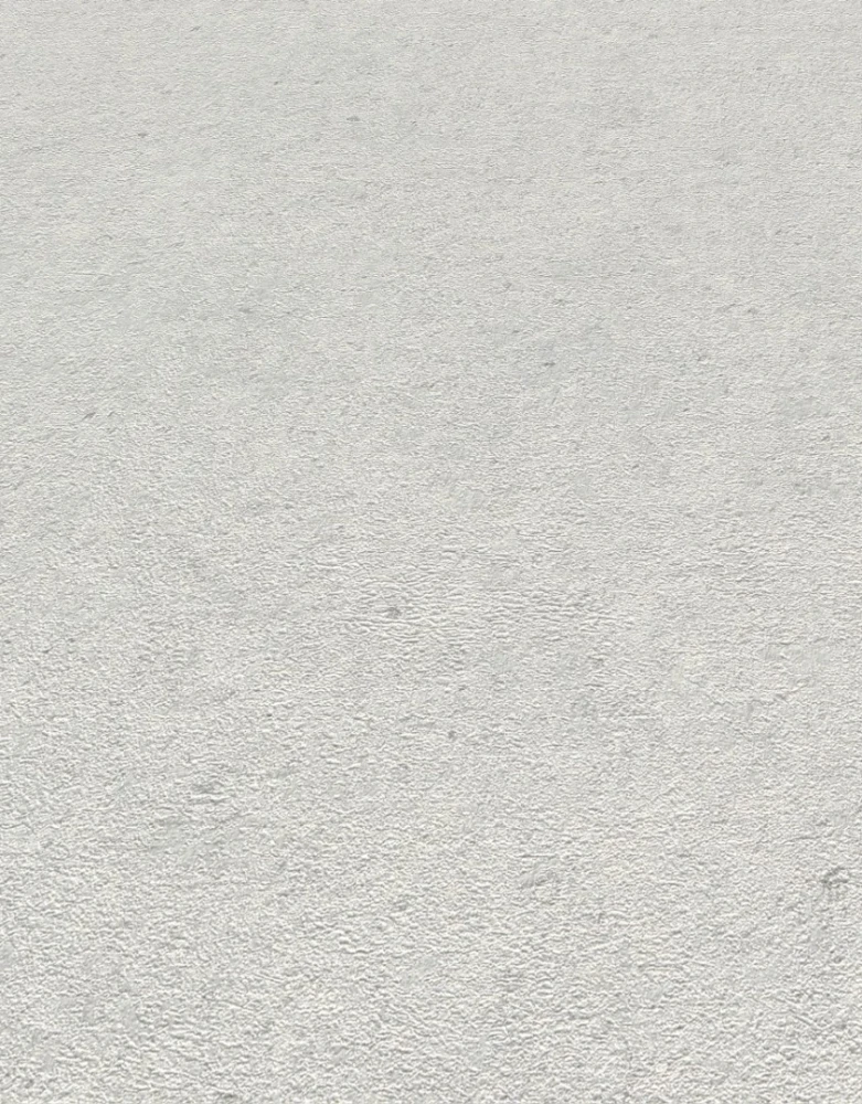 12262-10_zoom.jpg