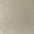 TAPETA 144811/ A11407 Champagne