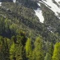 92abb136d6c90e0d16a6eda9d93b2dcb