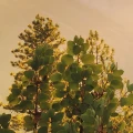 6b2e78432198dda86667aacbf90bd087