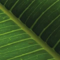 16f32170d6f608ba5b1c524f05f48cbc