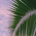 7fd00f85989607e3445d68ae1034f5d9