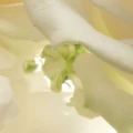 9f54649946503d5a1181274bb16def70