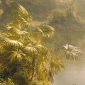 Fototapeta na Flizelinie X8-1084 Rio de Luz