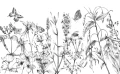 Fototapeta na Flizelinie X8-1085 Butterfly Field
