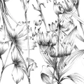 Fototapeta na Flizelinie X8-1085 Butterfly Field