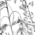 Fototapeta na Flizelinie X8-1085 Butterfly Field