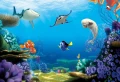Fototapeta na Flizelinie X8-8497 Finding Dory