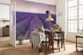 Fototapeta na Flizelinie X8-036 Provence