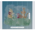 FOTOTAPETA DX6-033 Winnie Pooh Picnic