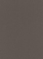 Tapeta 10437-34 Spotlight 2