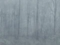 c0e6e961063dff77aaa2d8fd0ef18c8a