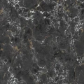 e855.jpg