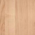 Okleina Meblowa 10169 / 55593 Venilia olcha jasna szer 45 cm